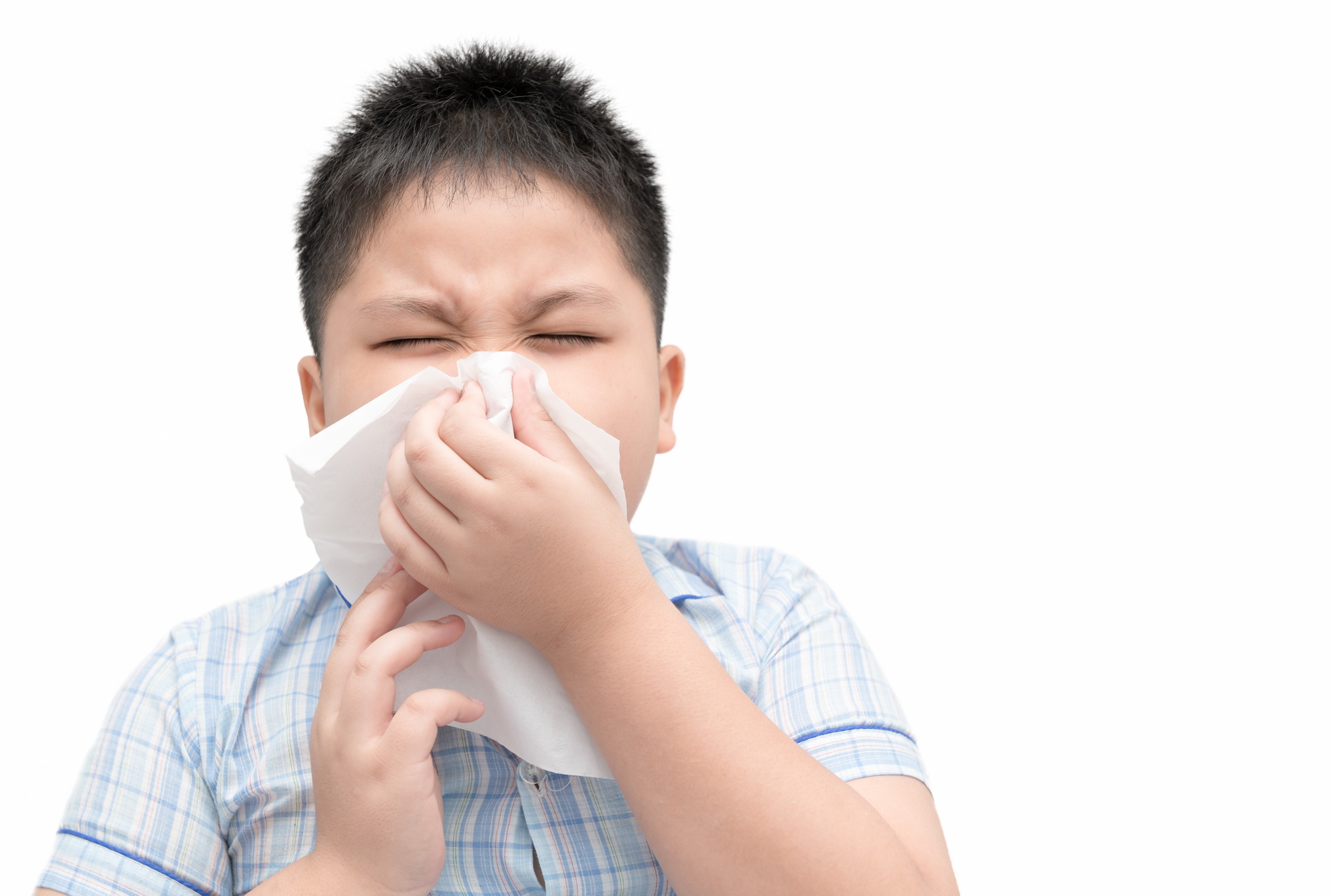 alergi debu tips mengatasi alergi